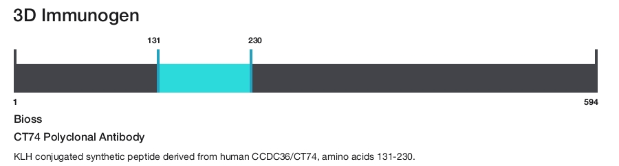 CT74 Polyclonal Antibody