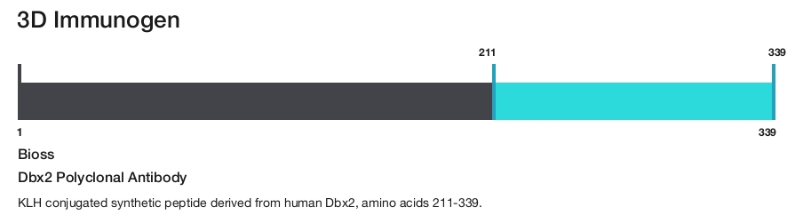 Dbx2 Polyclonal Antibody