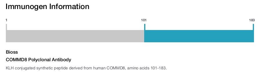 COMMD8 Polyclonal Antibody