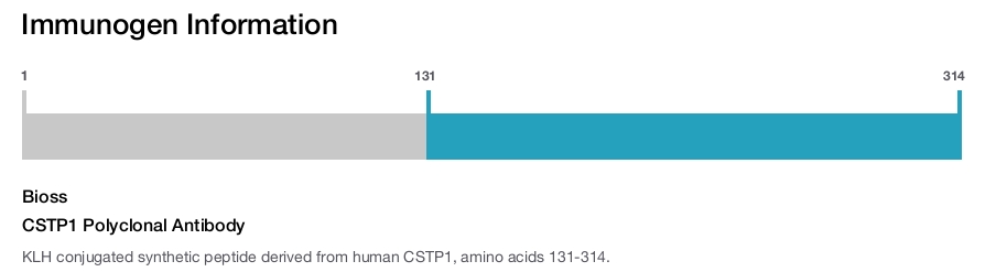 CSTP1 Polyclonal Antibody