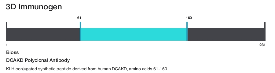 DCAKD Polyclonal Antibody