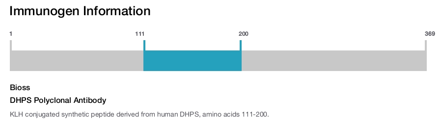 DHPS Polyclonal Antibody