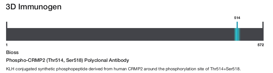 Phospho-CRMP2 (Thr514, Ser518) Polyclonal Antibody
