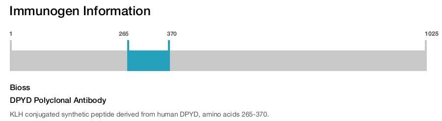 DPYD Polyclonal Antibody