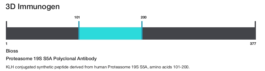 Proteasome 19S S5A Polyclonal Antibody
