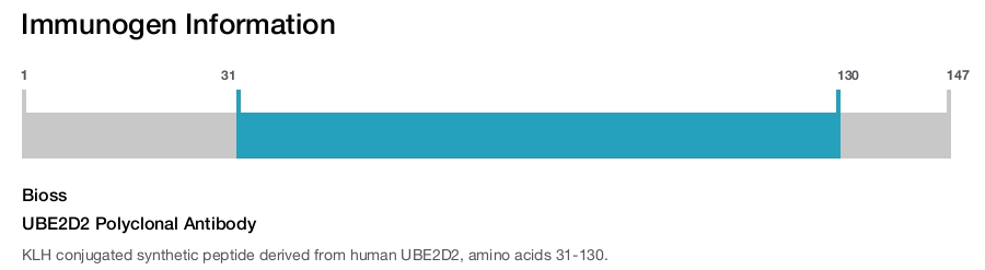 UBE2D2 Polyclonal Antibody