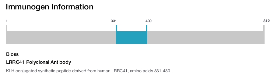 LRRC41 Polyclonal Antibody