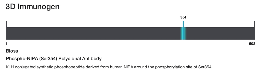 Phospho-NIPA (Ser354) Polyclonal Antibody
