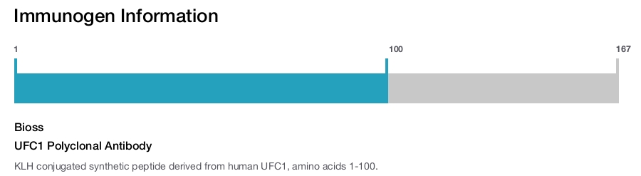 UFC1 Polyclonal Antibody