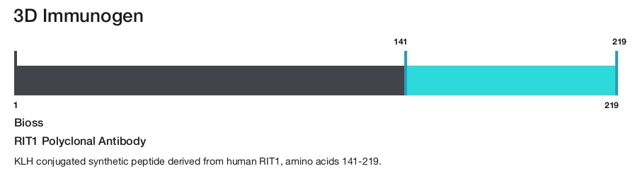 RIT1 Polyclonal Antibody