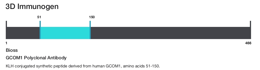 GCOM1 Polyclonal Antibody