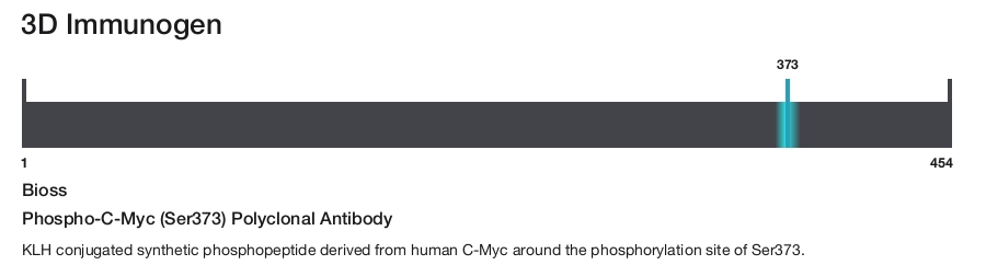 Phospho-C-Myc (Ser373) Polyclonal Antibody