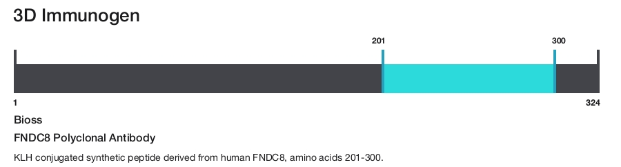 FNDC8 Polyclonal Antibody