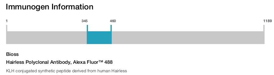 Hairless Polyclonal Antibody, Alexa Fluor™ 488