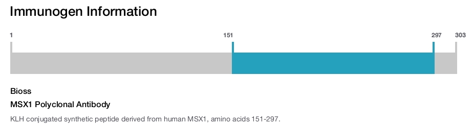 MSX1 Polyclonal Antibody