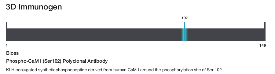 Phospho-CaM I (Ser102) Polyclonal Antibody