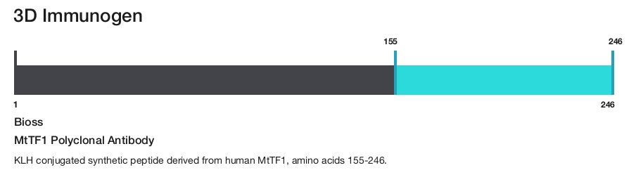 MtTF1 Polyclonal Antibody