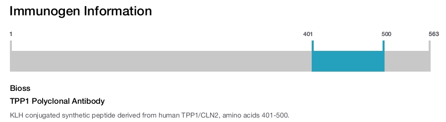 TPP1 Polyclonal Antibody