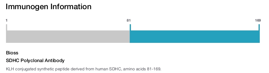 SDHC Polyclonal Antibody