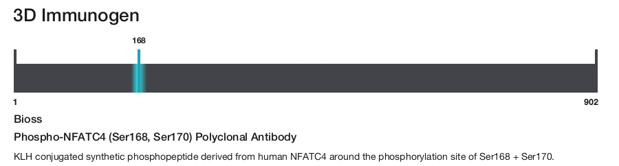 Phospho-NFATC4 (Ser168, Ser170) Polyclonal Antibody