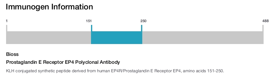 Prostaglandin E Receptor EP4 Polyclonal Antibody