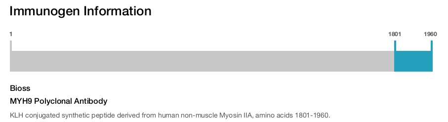 MYH9 Polyclonal Antibody