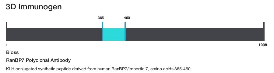 RanBP7 Polyclonal Antibody