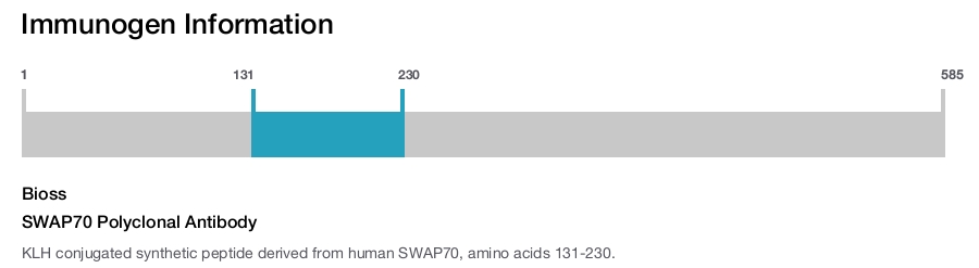 SWAP70 Polyclonal Antibody
