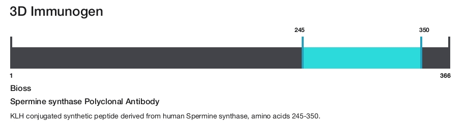 Spermine synthase Polyclonal Antibody