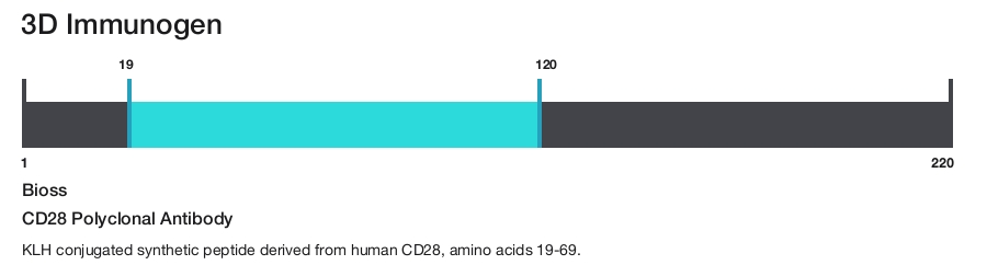 CD28 Polyclonal Antibody