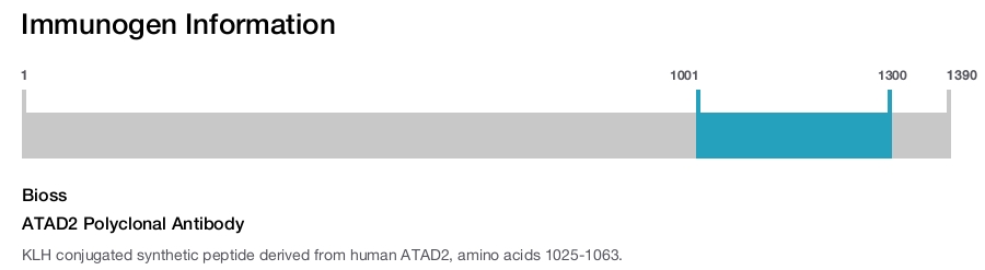 ATAD2 Polyclonal Antibody