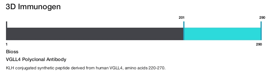 VGLL4 Polyclonal Antibody