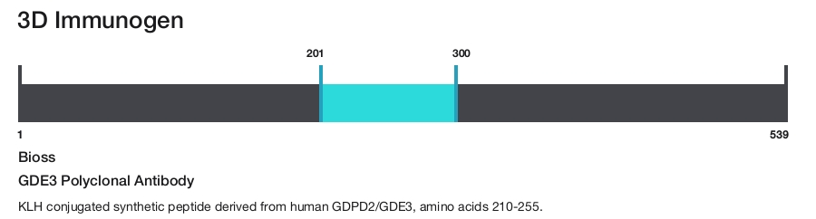 GDE3 Polyclonal Antibody
