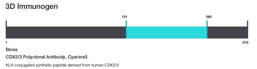 CDX2/3 Polyclonal Antibody, Cyanine3