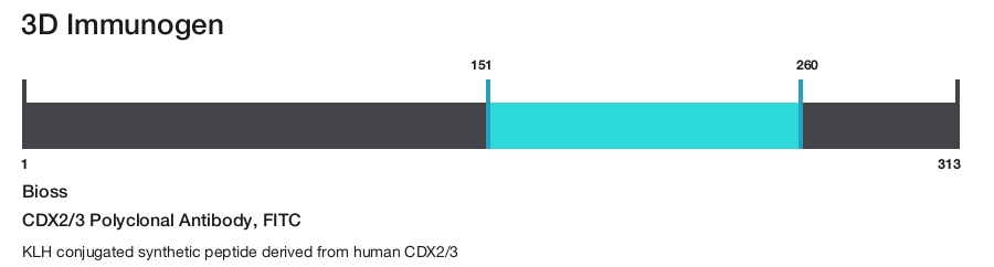CDX2/3 Polyclonal Antibody, FITC