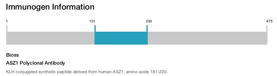 ASZ1 Polyclonal Antibody