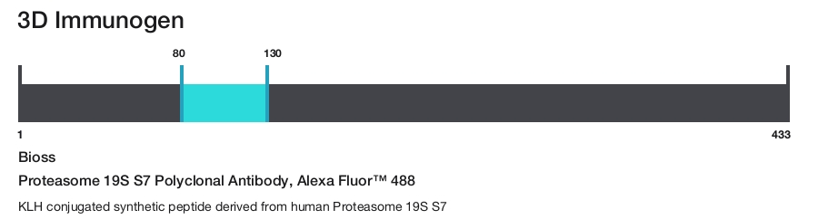 Proteasome 19S S7 Polyclonal Antibody, Alexa Fluor&trade; 488
