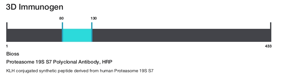Proteasome 19S S7 Polyclonal Antibody, HRP