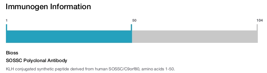 SOSSC Polyclonal Antibody