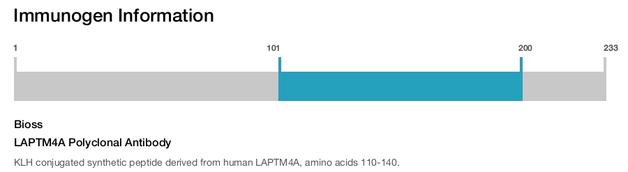 LAPTM4A Polyclonal Antibody