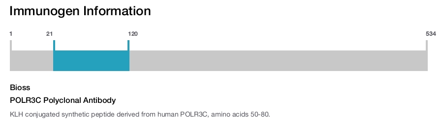 POLR3C Polyclonal Antibody