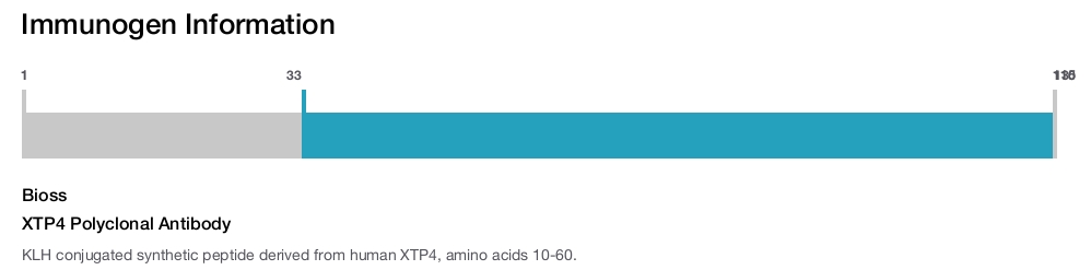 XTP4 Polyclonal Antibody