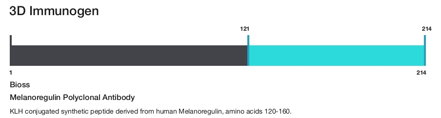 Melanoregulin Polyclonal Antibody