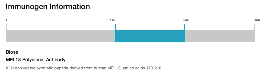 MEL18 Polyclonal Antibody
