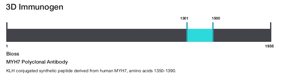 MYH7 Polyclonal Antibody