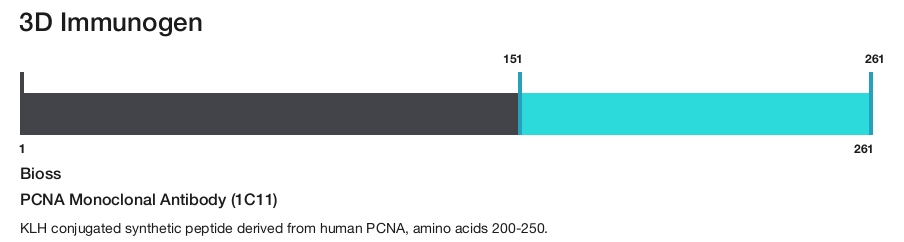 PCNA Monoclonal Antibody (1C11)