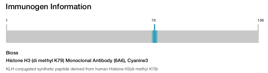 Histone H3 (di methyl K79) Monoclonal Antibody (6A6), Cyanine3