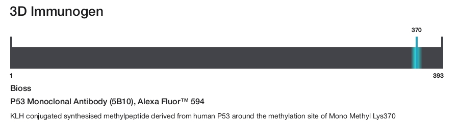 P53 Monoclonal Antibody (5B10), Alexa Fluor&trade; 594