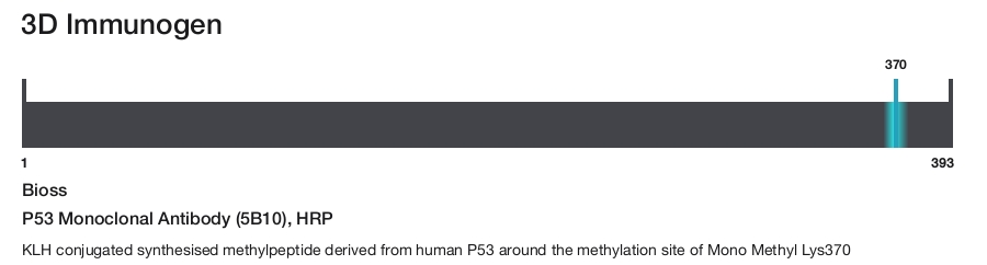 P53 Monoclonal Antibody (5B10), HRP