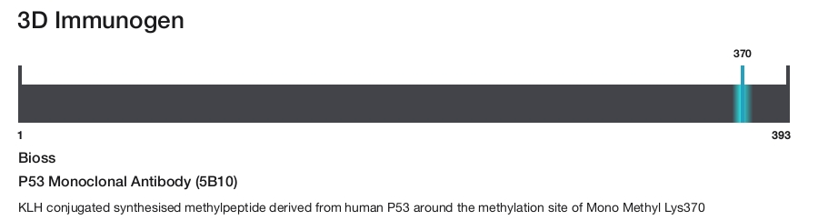 P53 Monoclonal Antibody (5B10)